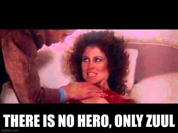 There is no Dana | THERE IS NO HERO, ONLY ZUUL | image tagged in there is no dana | made w/ Imgflip meme maker