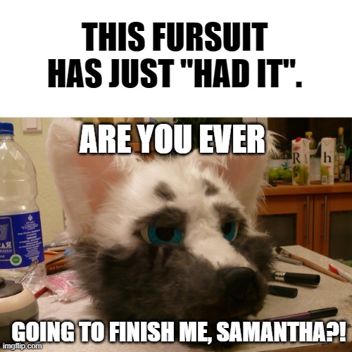 "I'm not here for decorations, Y'know!" xD (By Koul) | THIS FURSUIT HAS JUST "HAD IT". ARE YOU EVER; GOING TO FINISH ME, SAMANTHA?! | image tagged in furry,memes,funny,fursuit,had it | made w/ Imgflip meme maker
