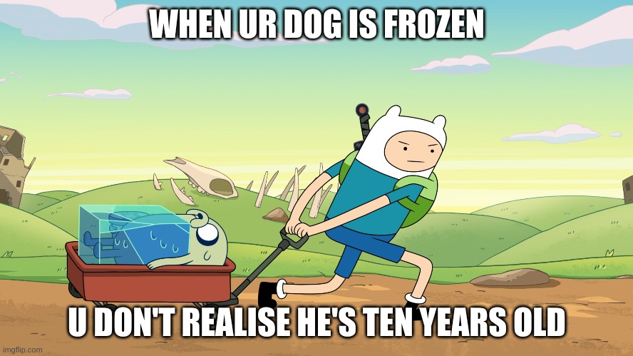 Frozen jake | WHEN UR DOG IS FROZEN; U DON'T REALISE HE'S TEN YEARS OLD | image tagged in finn the human | made w/ Imgflip meme maker