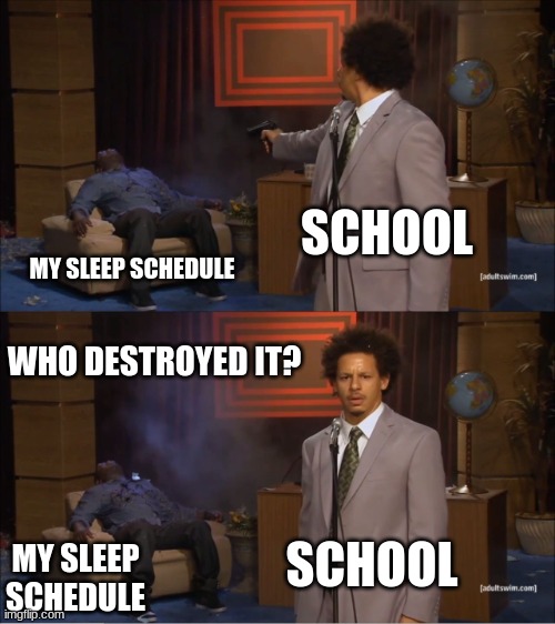 school be like | SCHOOL; MY SLEEP SCHEDULE; WHO DESTROYED IT? SCHOOL; MY SLEEP SCHEDULE | image tagged in memes,who killed hannibal | made w/ Imgflip meme maker