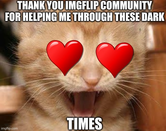 Excited Cat |  THANK YOU IMGFLIP COMMUNITY FOR HELPING ME THROUGH THESE DARK; TIMES | image tagged in memes,excited cat | made w/ Imgflip meme maker
