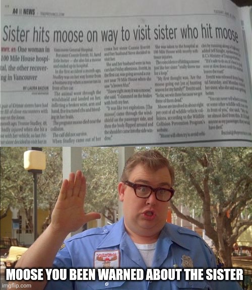 Moose | MOOSE YOU BEEN WARNED ABOUT THE SISTER | image tagged in moose,reposts,repost,memes,sister,news | made w/ Imgflip meme maker