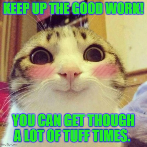 Smiling Cat Meme | KEEP UP THE GOOD WORK! YOU CAN GET THOUGH A LOT OF TUFF TIMES. | image tagged in memes,smiling cat | made w/ Imgflip meme maker