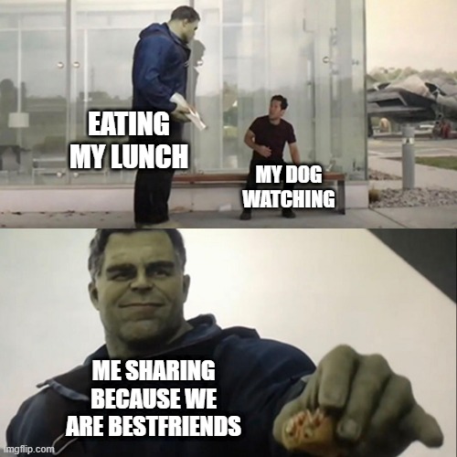 sharing food meme | EATING MY LUNCH; MY DOG WATCHING; ME SHARING BECAUSE WE ARE BESTFRIENDS | image tagged in hulk taco,dog memes | made w/ Imgflip meme maker