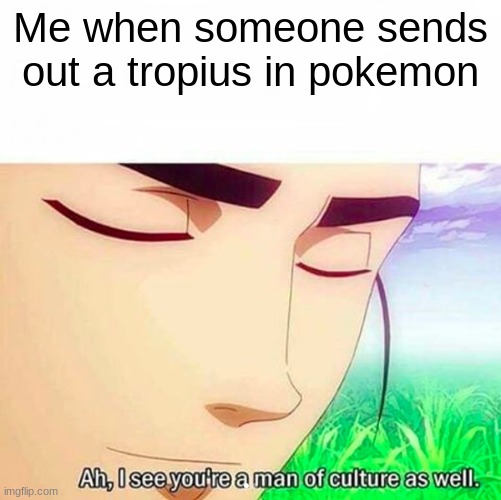 Image Title | Me when someone sends out a tropius in pokemon | image tagged in ah i see you are a man of culture as well | made w/ Imgflip meme maker