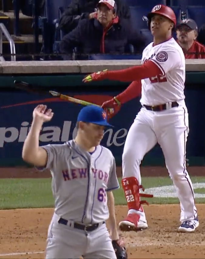 High Quality Soto homer Blank Meme Template