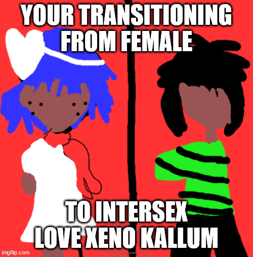 Demon Days Cover | YOUR TRANSITIONING FROM FEMALE; TO INTERSEX LOVE XENO KALLUM | image tagged in demon days cover | made w/ Imgflip meme maker