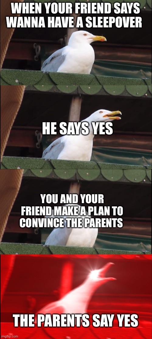 Inhaling Seagull Meme | WHEN YOUR FRIEND SAYS WANNA HAVE A SLEEPOVER; HE SAYS YES; YOU AND YOUR FRIEND MAKE A PLAN TO CONVINCE THE PARENTS; THE PARENTS SAY YES | image tagged in memes,inhaling seagull | made w/ Imgflip meme maker