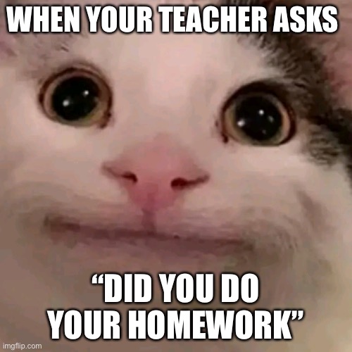 Beluga | WHEN YOUR TEACHER ASKS; “DID YOU DO YOUR HOMEWORK” | image tagged in beluga | made w/ Imgflip meme maker