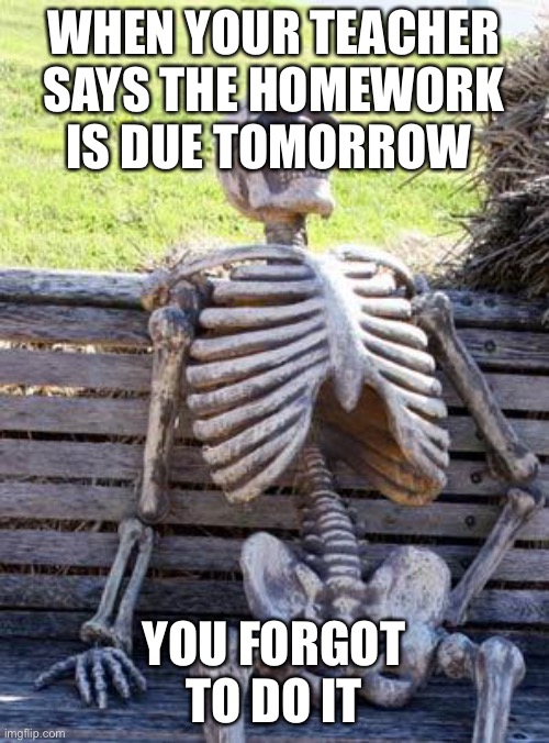 Waiting Skeleton | WHEN YOUR TEACHER SAYS THE HOMEWORK IS DUE TOMORROW; YOU FORGOT TO DO IT | image tagged in memes,waiting skeleton | made w/ Imgflip meme maker