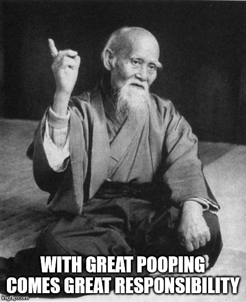 Wise Master | WITH GREAT POOPING COMES GREAT RESPONSIBILITY | image tagged in wise master | made w/ Imgflip meme maker