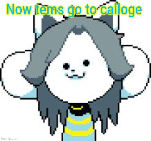TEMMIE | Now tems go to calloge | image tagged in temmie | made w/ Imgflip meme maker