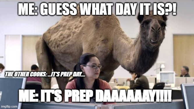 Line Cooks Prep Day | ME: GUESS WHAT DAY IT IS?! THE OTHER COOKS: ...IT'S PREP DAY.... ME: IT'S PREP DAAAAAAY!!!! | image tagged in hump day camel | made w/ Imgflip meme maker