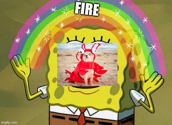 Imagination Spongebob | FIRE | image tagged in memes,imagination spongebob | made w/ Imgflip meme maker