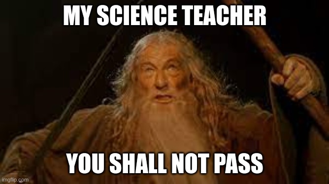 YOU SHALL NOT PASS | MY SCIENCE TEACHER; YOU SHALL NOT PASS | image tagged in you shall not pass | made w/ Imgflip meme maker