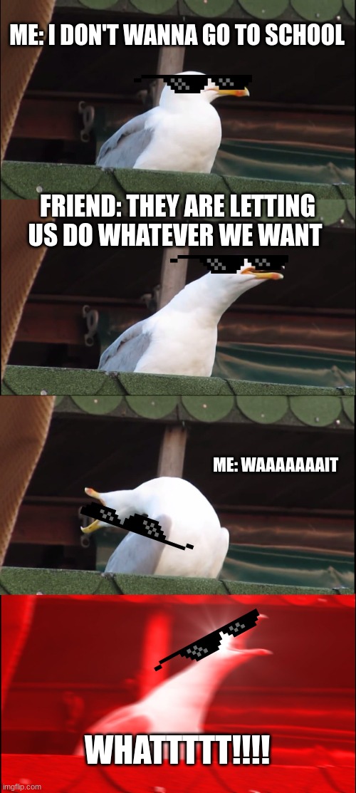 Inhaling Seagull | ME: I DON'T WANNA GO TO SCHOOL; FRIEND: THEY ARE LETTING US DO WHATEVER WE WANT; ME: WAAAAAAAIT; WHATTTTT!!!! | image tagged in memes,inhaling seagull | made w/ Imgflip meme maker