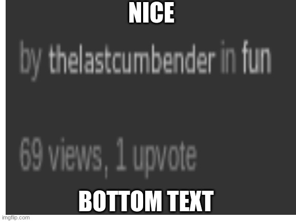 pov: nice | NICE; BOTTOM TEXT | image tagged in 69 is nice | made w/ Imgflip meme maker