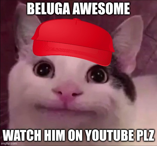 Awkward Smile Cat |  BELUGA AWESOME; WATCH HIM ON YOUTUBE PLZ | image tagged in awkward smile cat,beluga | made w/ Imgflip meme maker