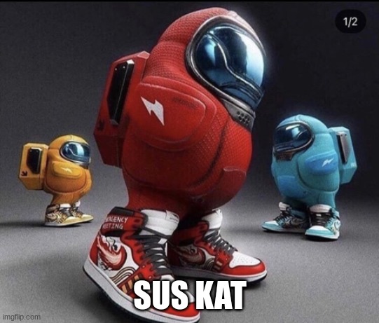 sussy | SUS KAT | image tagged in sussy | made w/ Imgflip meme maker