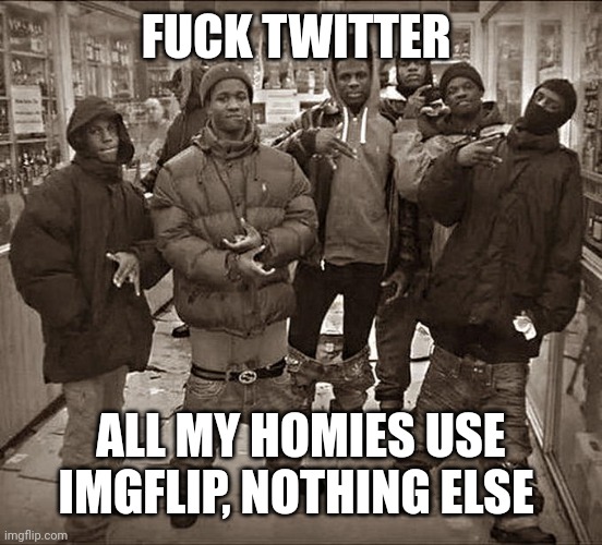 All My Homies Hate | FUCK TWITTER ALL MY HOMIES USE IMGFLIP, NOTHING ELSE | image tagged in all my homies hate | made w/ Imgflip meme maker