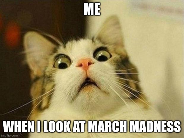 Scared Cat Meme | ME; WHEN I LOOK AT MARCH MADNESS | image tagged in memes,scared cat | made w/ Imgflip meme maker