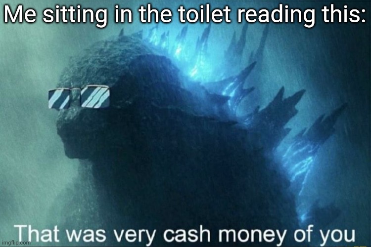 That was very cash money of you | Me sitting in the toilet reading this: | image tagged in that was very cash money of you | made w/ Imgflip meme maker