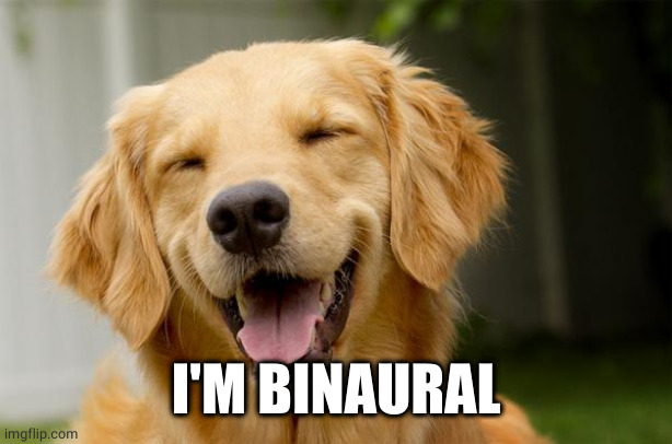 Happy Dog | I'M BINAURAL | image tagged in happy dog | made w/ Imgflip meme maker