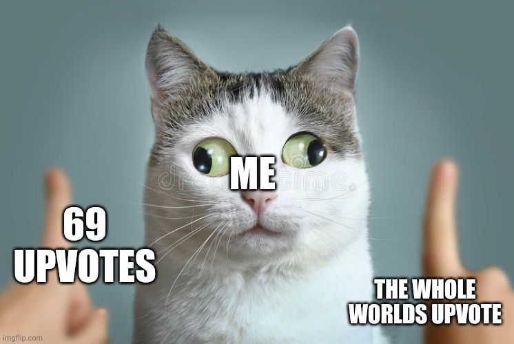 ME 69 UPVOTES THE WHOLE WORLDS UPVOTE | image tagged in cat can't choose | made w/ Imgflip meme maker