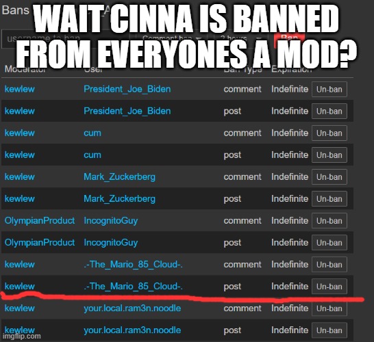 e | WAIT CINNA IS BANNED FROM EVERYONES A MOD? | image tagged in e | made w/ Imgflip meme maker