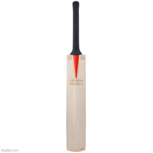 l | image tagged in cricket bat | made w/ Imgflip meme maker