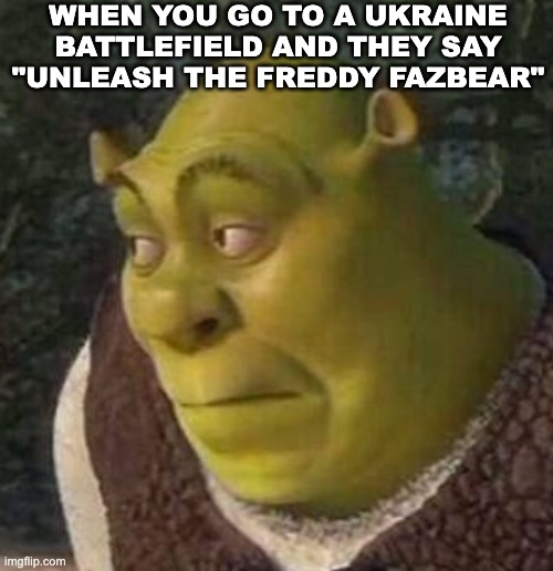 Shrek Concerned | WHEN YOU GO TO A UKRAINE BATTLEFIELD AND THEY SAY "UNLEASH THE FREDDY FAZBEAR" | image tagged in shrek,memes,freddy fazbear,ukraine vs russia | made w/ Imgflip meme maker