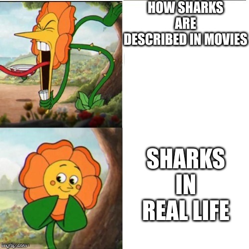 yelling flower | HOW SHARKS ARE DESCRIBED IN MOVIES; SHARKS IN REAL LIFE | image tagged in yelling flower,shark | made w/ Imgflip meme maker