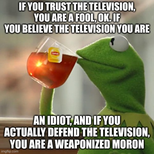 TELL-U-A-VISION | IF YOU TRUST THE TELEVISION, YOU ARE A FOOL, OK. IF YOU BELIEVE THE TELEVISION YOU ARE; AN IDIOT, AND IF YOU ACTUALLY DEFEND THE TELEVISION, YOU ARE A WEAPONIZED MORON | image tagged in memes,but that's none of my business,kermit the frog | made w/ Imgflip meme maker