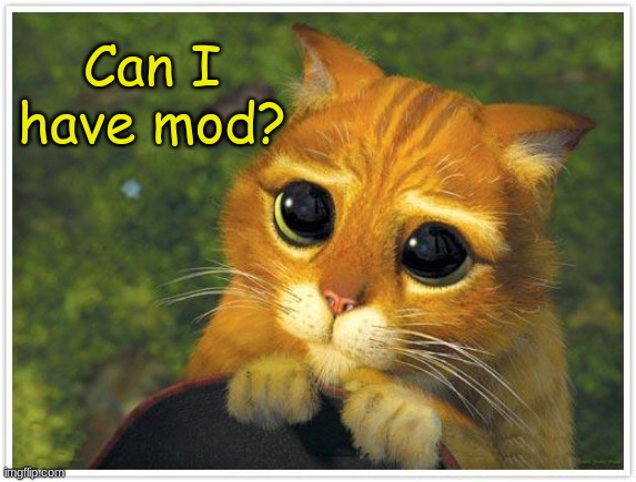 Shrek Cat Meme | Can I have mod? | image tagged in memes,shrek cat | made w/ Imgflip meme maker