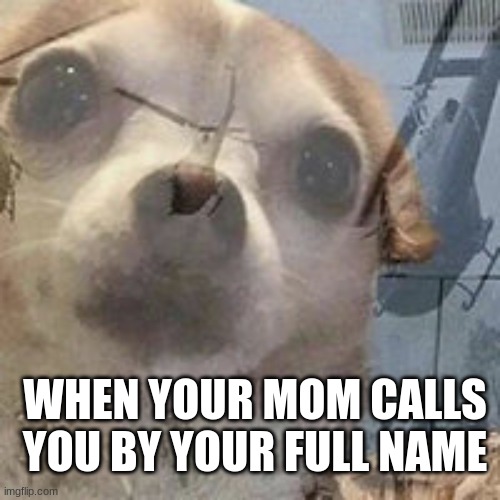 oh no | WHEN YOUR MOM CALLS YOU BY YOUR FULL NAME | image tagged in vietnam dog flashbacks | made w/ Imgflip meme maker