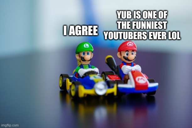 Mario and Luigi Agreement Karts |  YUB IS ONE OF THE FUNNIEST YOUTUBERS EVER LOL; I AGREE | image tagged in agreement,agree,mario,luigi,nintendo | made w/ Imgflip meme maker