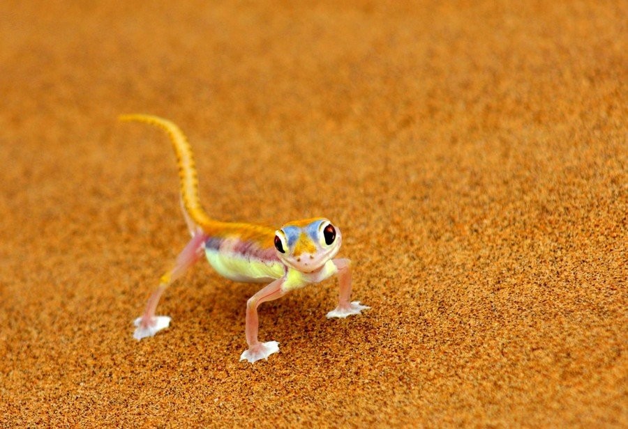 image tagged in photography,nature,cute