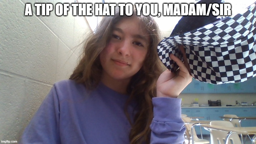 because why not | A TIP OF THE HAT TO YOU, MADAM/SIR | made w/ Imgflip meme maker