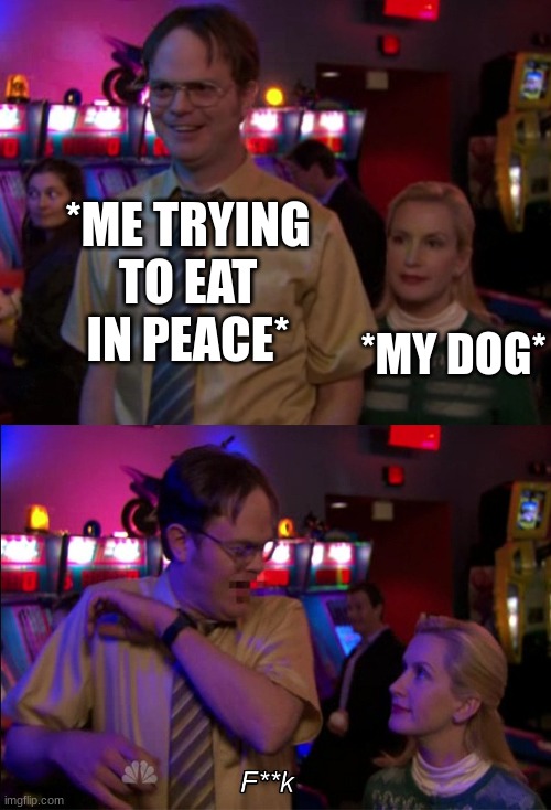 Angela scared Dwight | *ME TRYING TO EAT IN PEACE*; *MY DOG* | image tagged in angela scared dwight | made w/ Imgflip meme maker