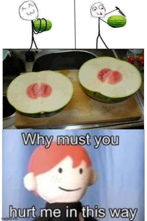 watermelon is mean to me | image tagged in blank white template | made w/ Imgflip meme maker