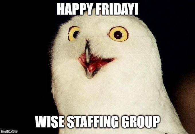 TGIF | HAPPY FRIDAY! WISE STAFFING GROUP | image tagged in orly owl | made w/ Imgflip meme maker