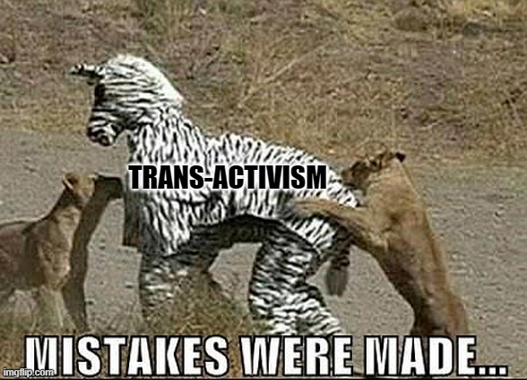 It's Not Going to End Well | TRANS-ACTIVISM | image tagged in agenda,activism,transgender | made w/ Imgflip meme maker