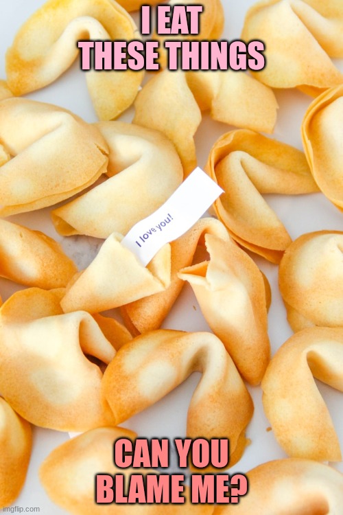 Fortune Cookie meme | I EAT THESE THINGS; CAN YOU BLAME ME? | image tagged in funny memes,fortune cookie | made w/ Imgflip meme maker