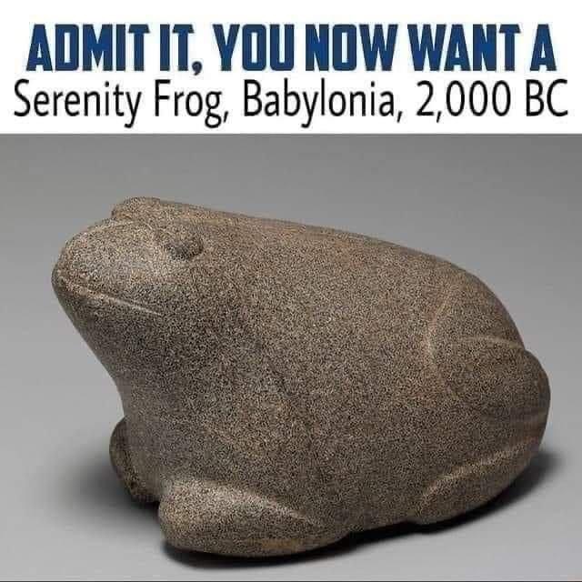 Serenity frog Blank Meme Template