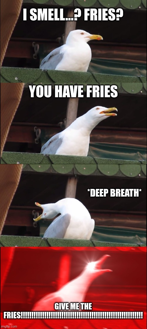 Inhaling Seagull | I SMELL...? FRIES? YOU HAVE FRIES; *DEEP BREATH*; GIVE ME THE FRIES!!!!!!!!!!!!!!!!!!!!!!!!!!!!!!!!!!!!!!!!!!!!!!!!!!!!!!!!! | image tagged in memes,inhaling seagull | made w/ Imgflip meme maker