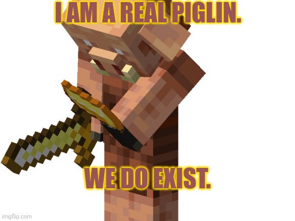 I actually am a Piglin. | I AM A REAL PIGLIN. WE DO EXIST. | image tagged in piglin,minecraft | made w/ Imgflip meme maker