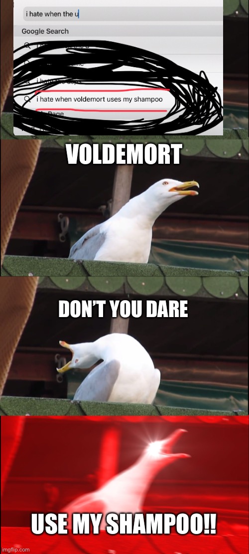 Inhaling Seagull Meme | VOLDEMORT; DON’T YOU DARE; USE MY SHAMPOO!! | image tagged in memes,inhaling seagull | made w/ Imgflip meme maker