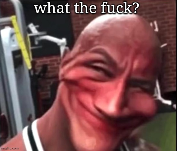 Sus Rock | what the fuck? | image tagged in sus rock | made w/ Imgflip meme maker