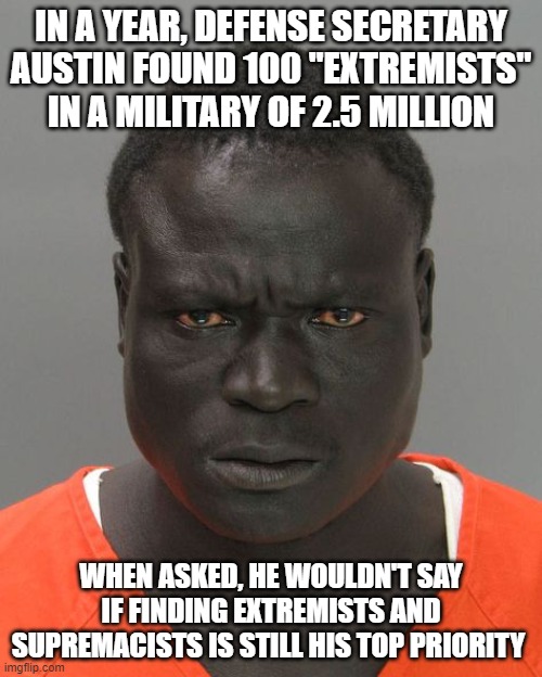 Looking for extremists in the US military | IN A YEAR, DEFENSE SECRETARY AUSTIN FOUND 100 "EXTREMISTS" IN A MILITARY OF 2.5 MILLION; WHEN ASKED, HE WOULDN'T SAY IF FINDING EXTREMISTS AND SUPREMACISTS IS STILL HIS TOP PRIORITY | image tagged in memes | made w/ Imgflip meme maker
