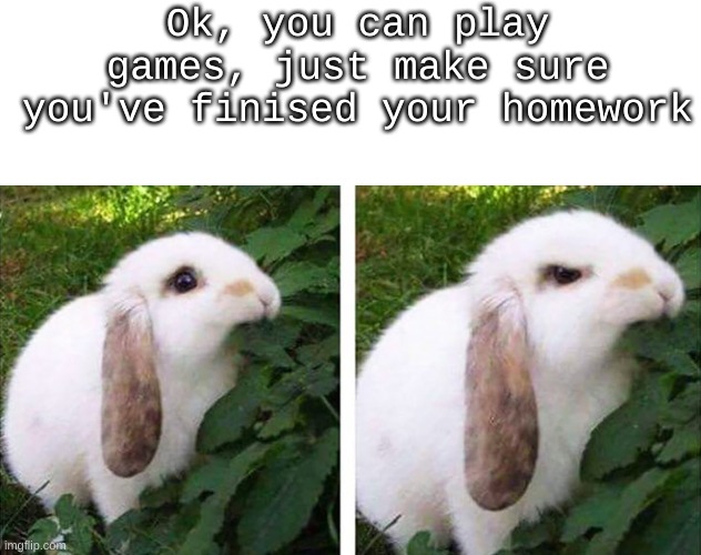 Really (T_T) | Ok, you can play games, just make sure you've finised your homework | image tagged in angry bunny | made w/ Imgflip meme maker